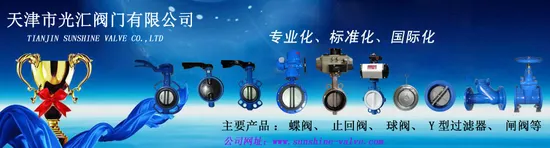 Premium-Quality Piston-Type Self-Actuating Backflow Preventer in The Water Pipeline
